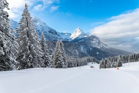 Piste im Skigebiet Ehrwalder Almbahn